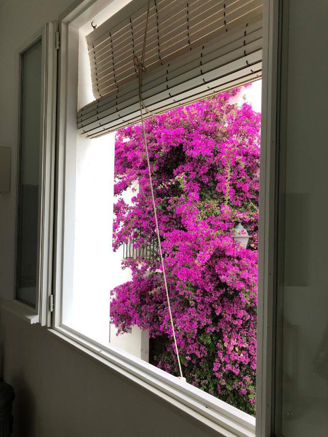 הוילה Centric Townhouse Cadaques - Casa Voltes - מראה חיצוני תמונה
